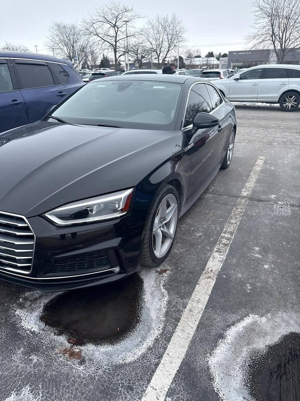 2019 Audi A5 Premium Plus in Loves Park IL For Sale - Image 1