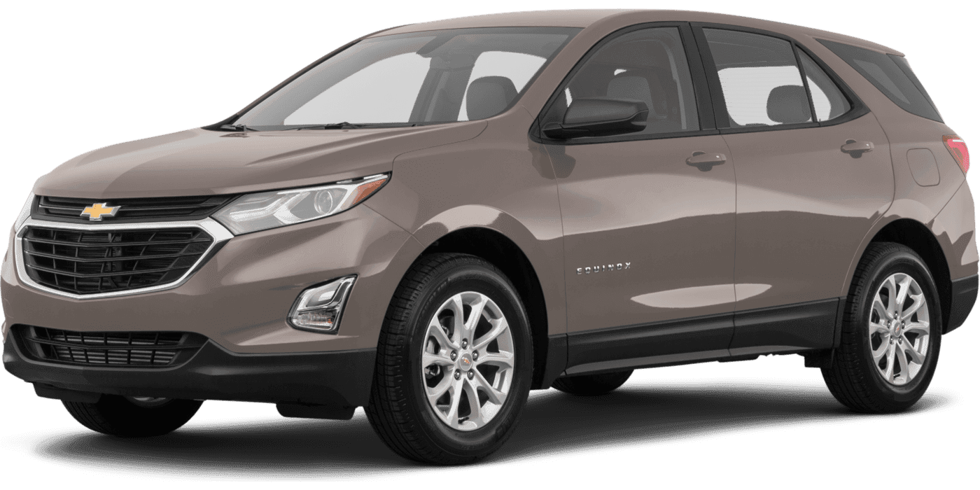 2019 Chevrolet Equinox LS in Saint Petersburg FL For Sale - Image 1