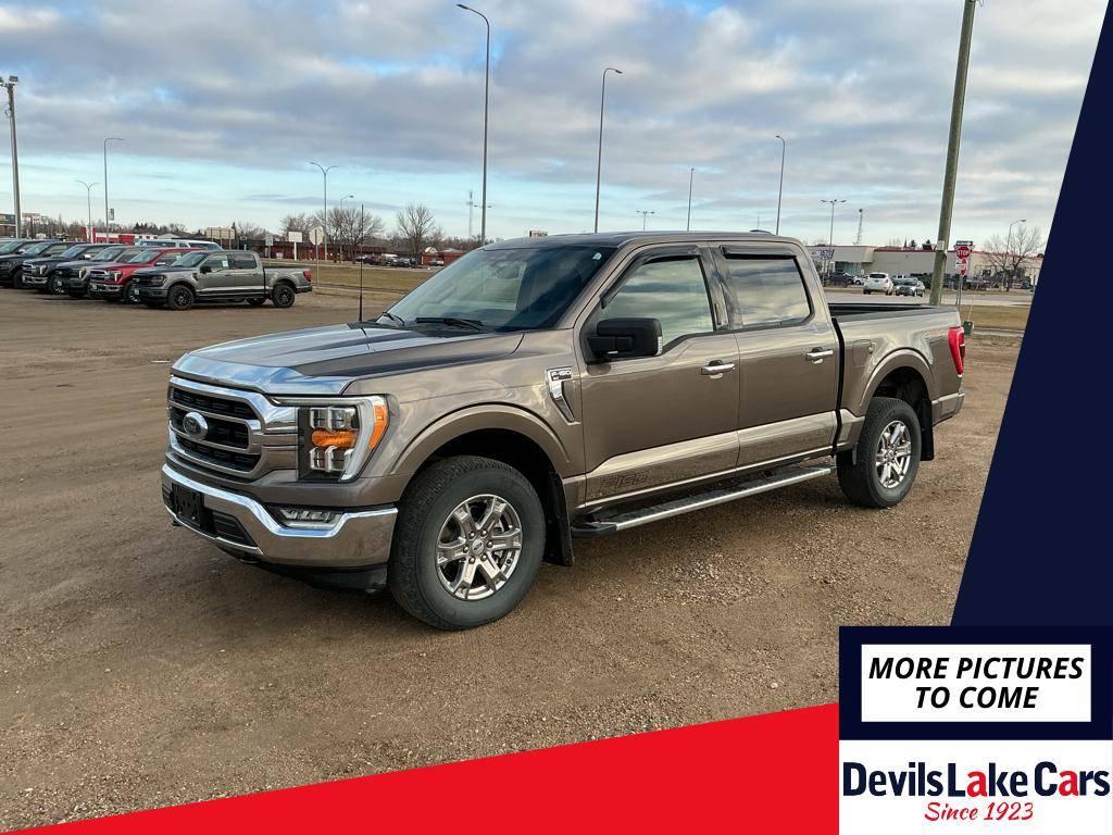 2023 Ford F-150 XLT in Devils Lake ND For Sale - Image 1