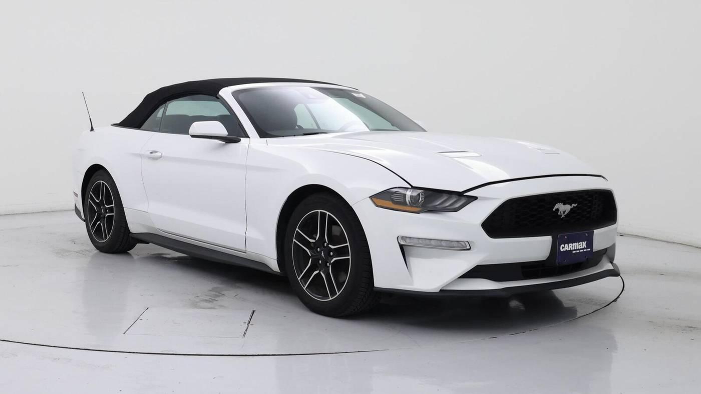 2023 Ford Mustang EcoBoost Premium in Birmingham AL For Sale - Image 1