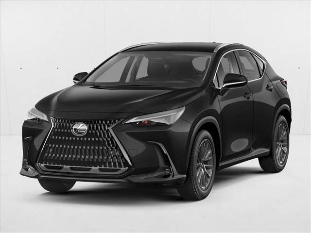 2024 Lexus NX NX 250 in Tampa FL For Sale - Image 1
