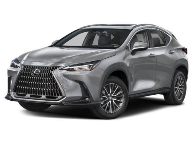 2024 Lexus NX NX 250 in San Juan TX For Sale - Image 1