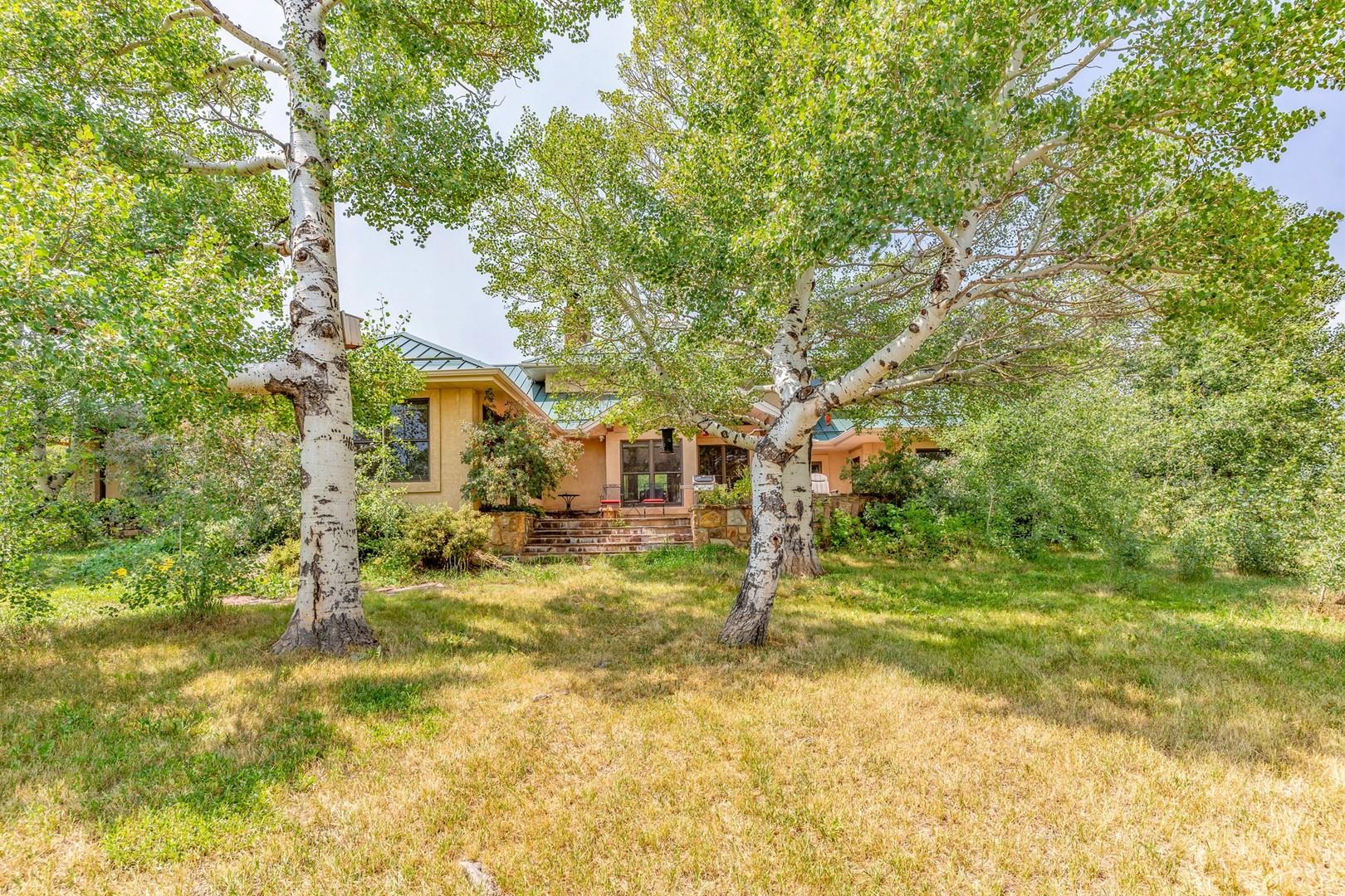 Listing image 4