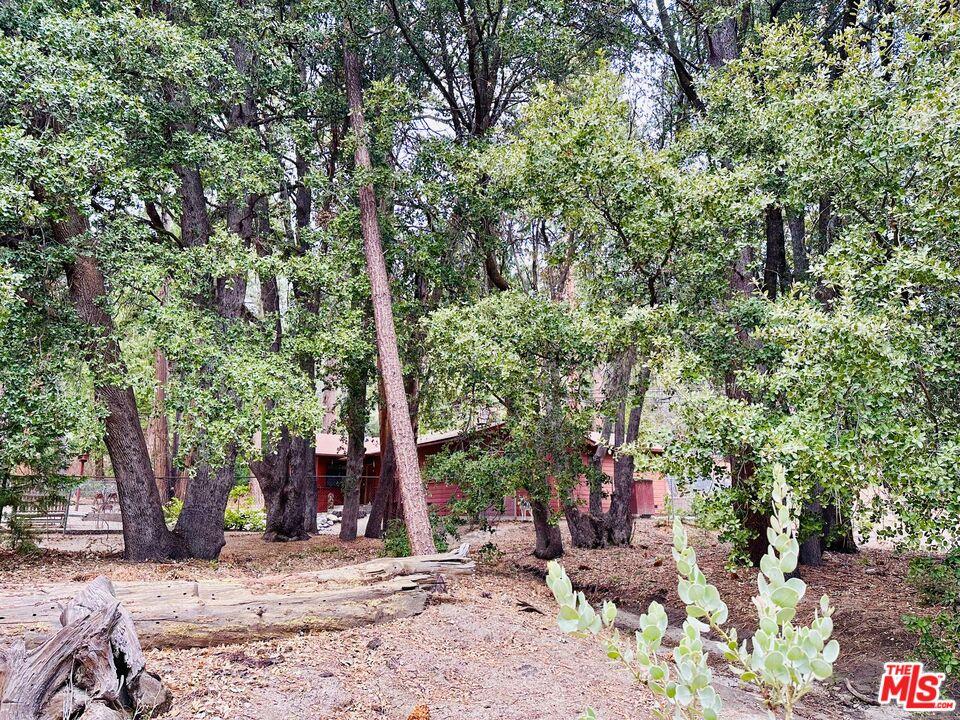 Listing image 6